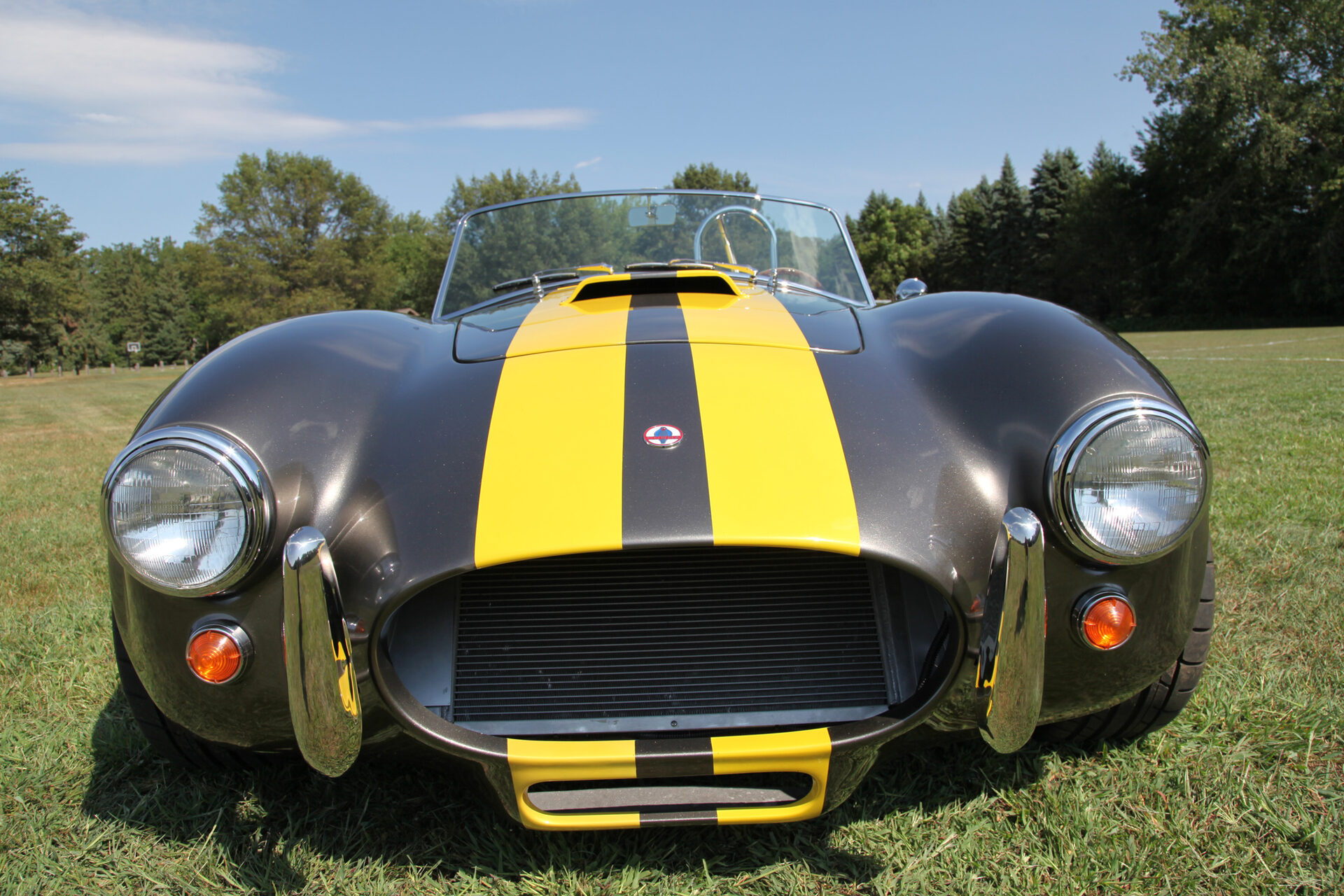 Straight-on front view, alternate